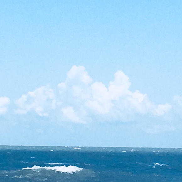 Meet your Posher, Bridgette - Picture 1 of 1